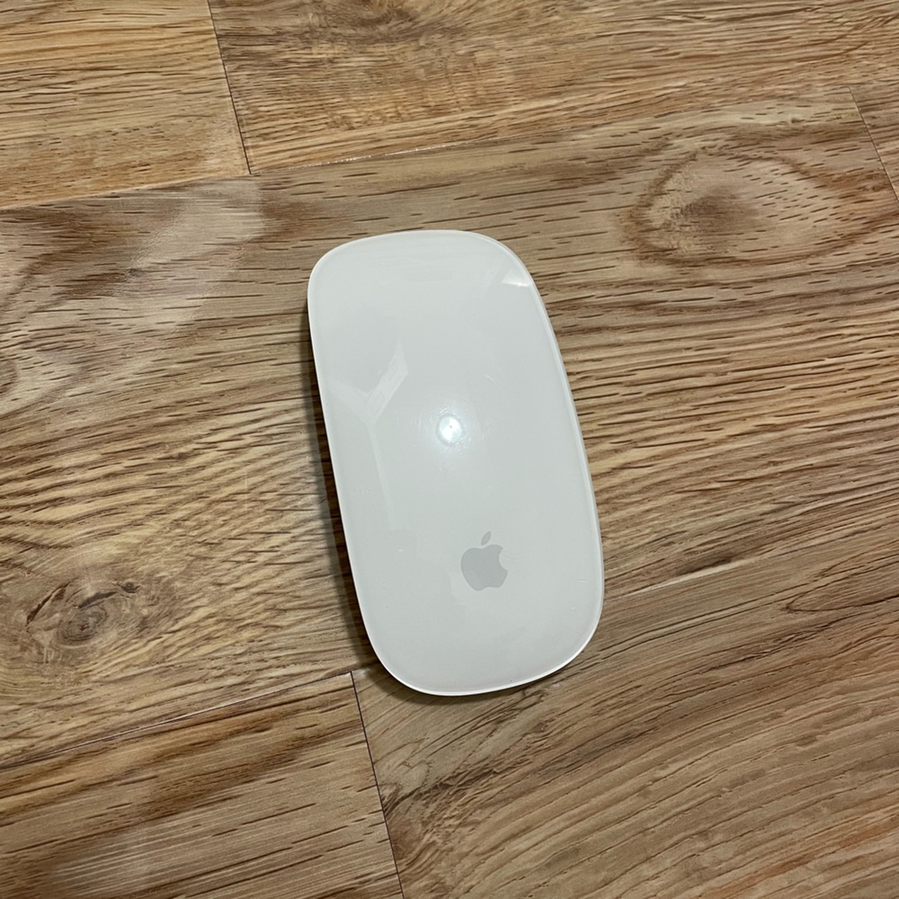 Apple Magic Mouse